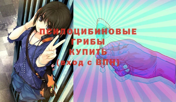 мдпв Лиски