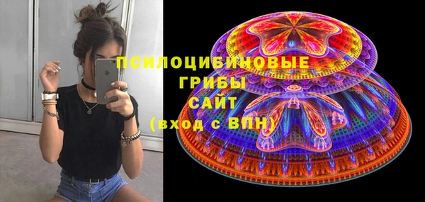 мдпв Лиски